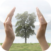 Environmental Economics