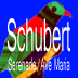 Schubert Serenade musictach
